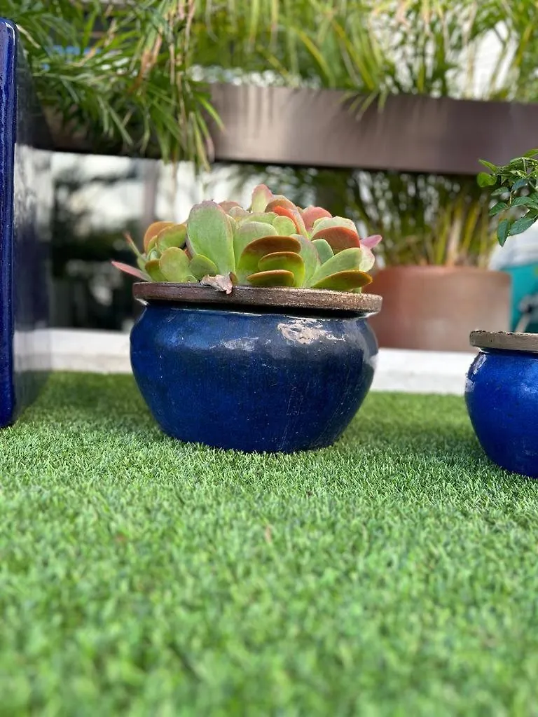 Oasis Salobrena Apartment